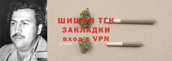 прущие грибы Алексин