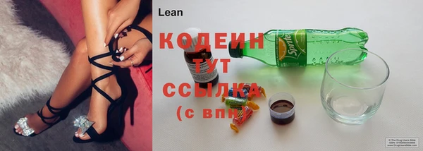 прущие грибы Алексин