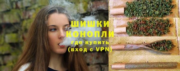 тгк Богданович