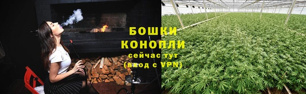 тгк Богданович